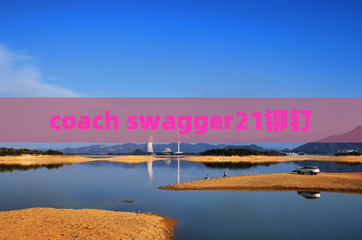 coach swagger21铆钉